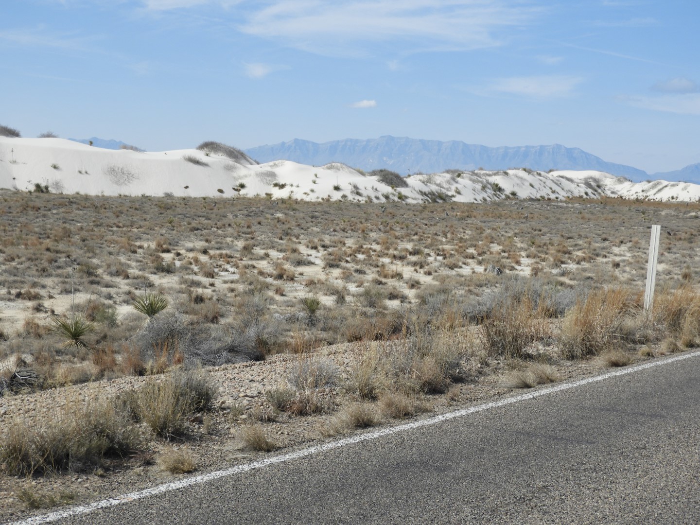 Inside the Around the Visitors Center of Outside of the Road to/from the White Sands National Park  8 of 21 (#0389)