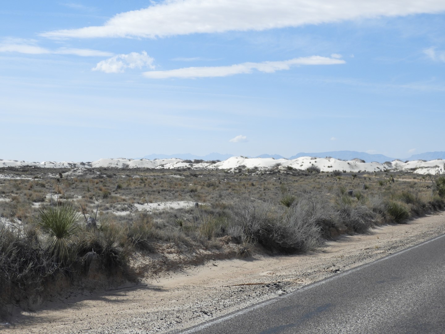 Inside the Around the Visitors Center of Outside of the Road to/from the White Sands National Park 10 of 21 (#0391)