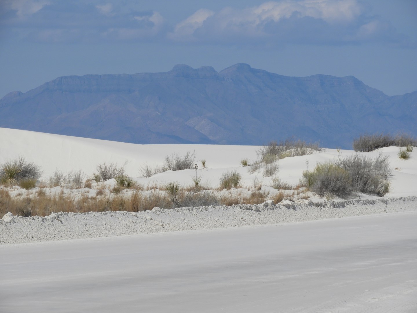 Inside the Around the Visitors Center of Outside of the Road to/from the White Sands National Park 12 of 21 (#0393)