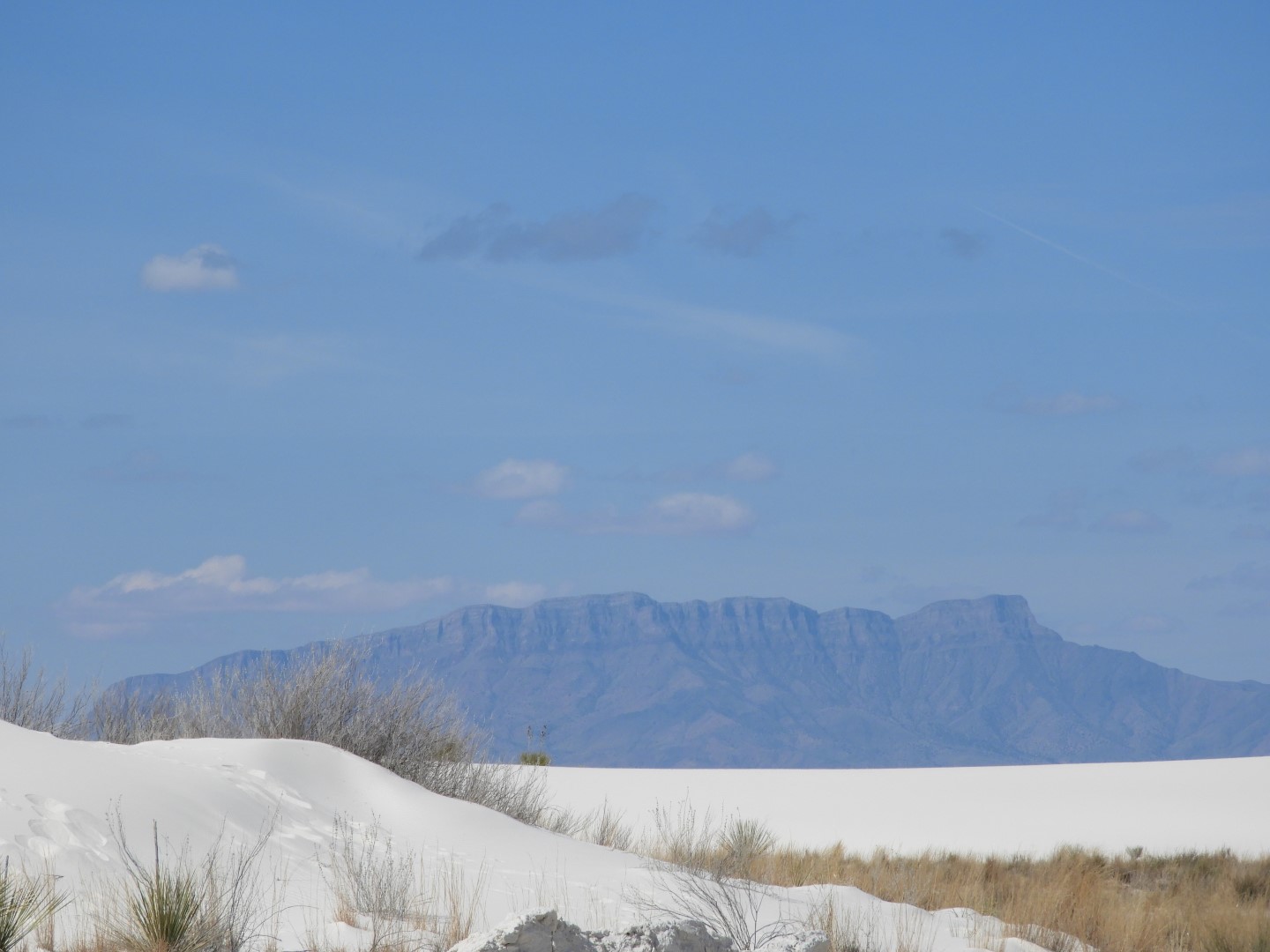Inside the Around the Visitors Center of Outside of the Road to/from the White Sands National Park 13 of 21 (#0394)