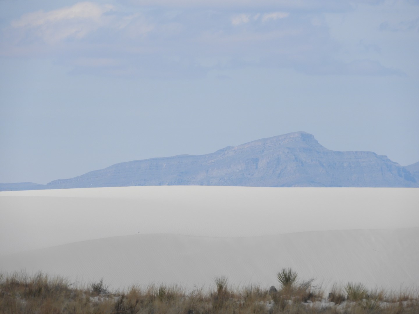 Inside the Around the Visitors Center of Outside of the Road to/from the White Sands National Park 21 of 21 (#0402)