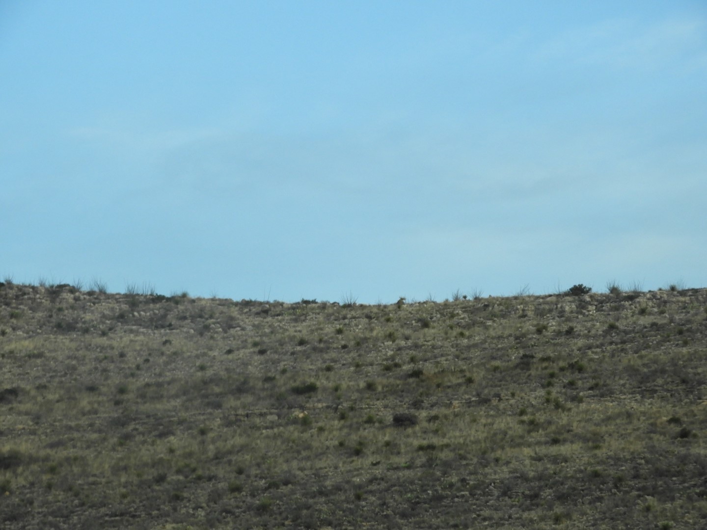 Carlsbad Caverns National Park  5 of 10 (#0466)