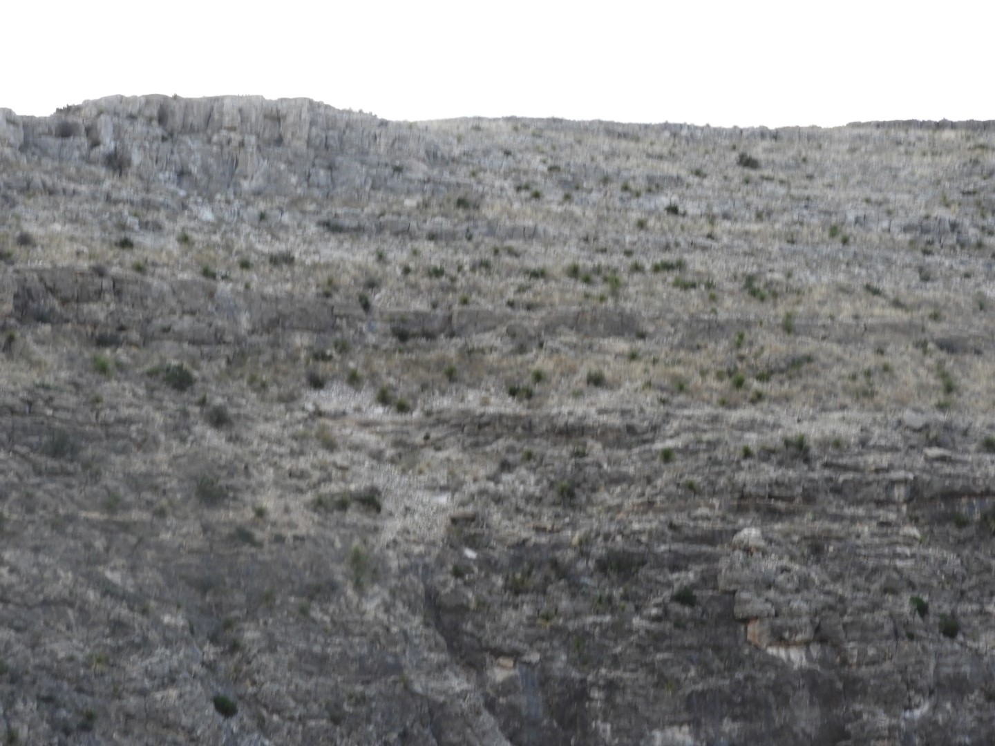 Carlsbad Caverns National Park  6 of 10 (#0467)