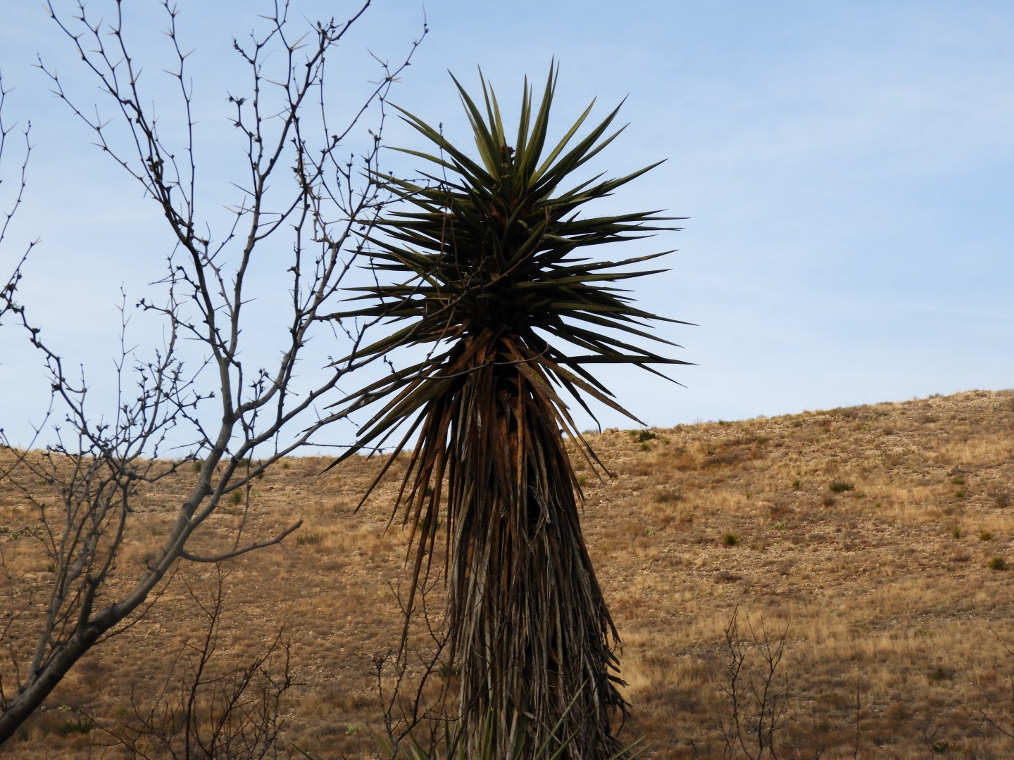 Carlsbad Caverns National Park 10 of 10 (#0480)