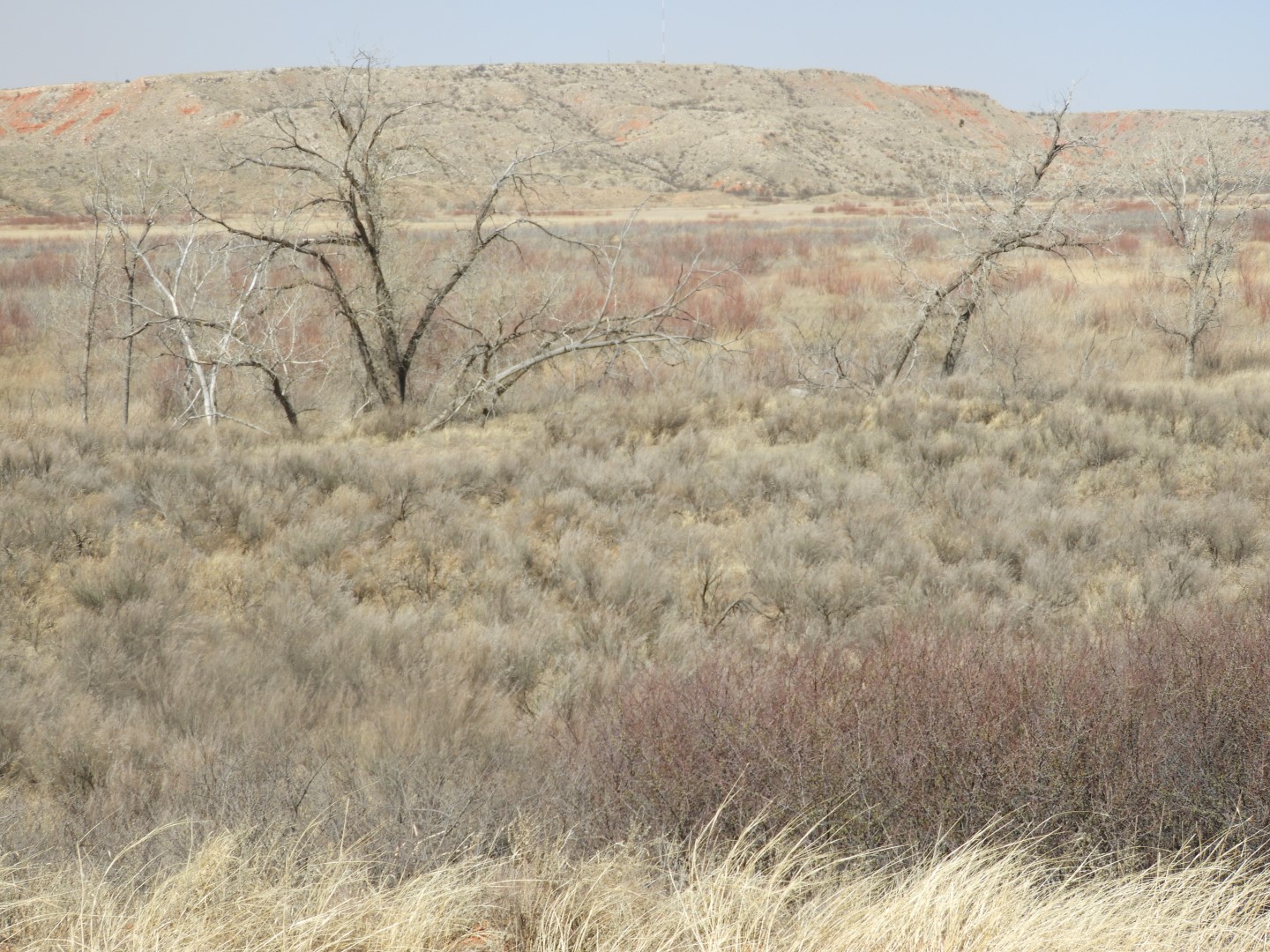 At Alibates Flint Quarries, dried up North end of Headquarters of Lake Meredith National Recreation Area in Fritch TX  1 of  2 (#0506)