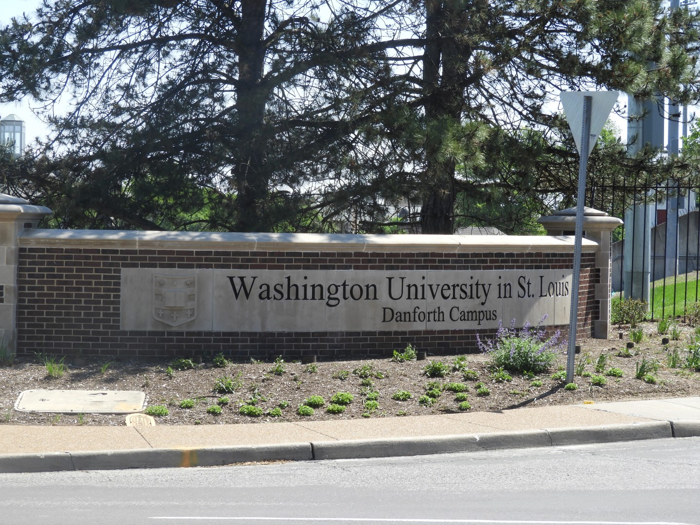 Washington University in St. Louis MO  3 of  3 (#0666)