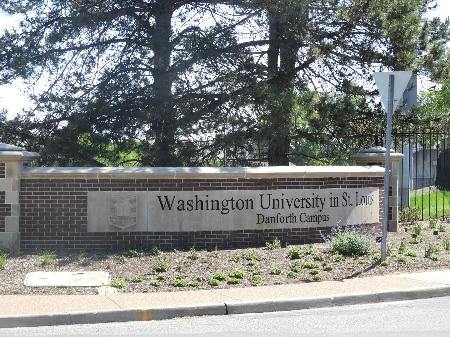 Washington University in St. Louis MO  1 of  3 (#0667)