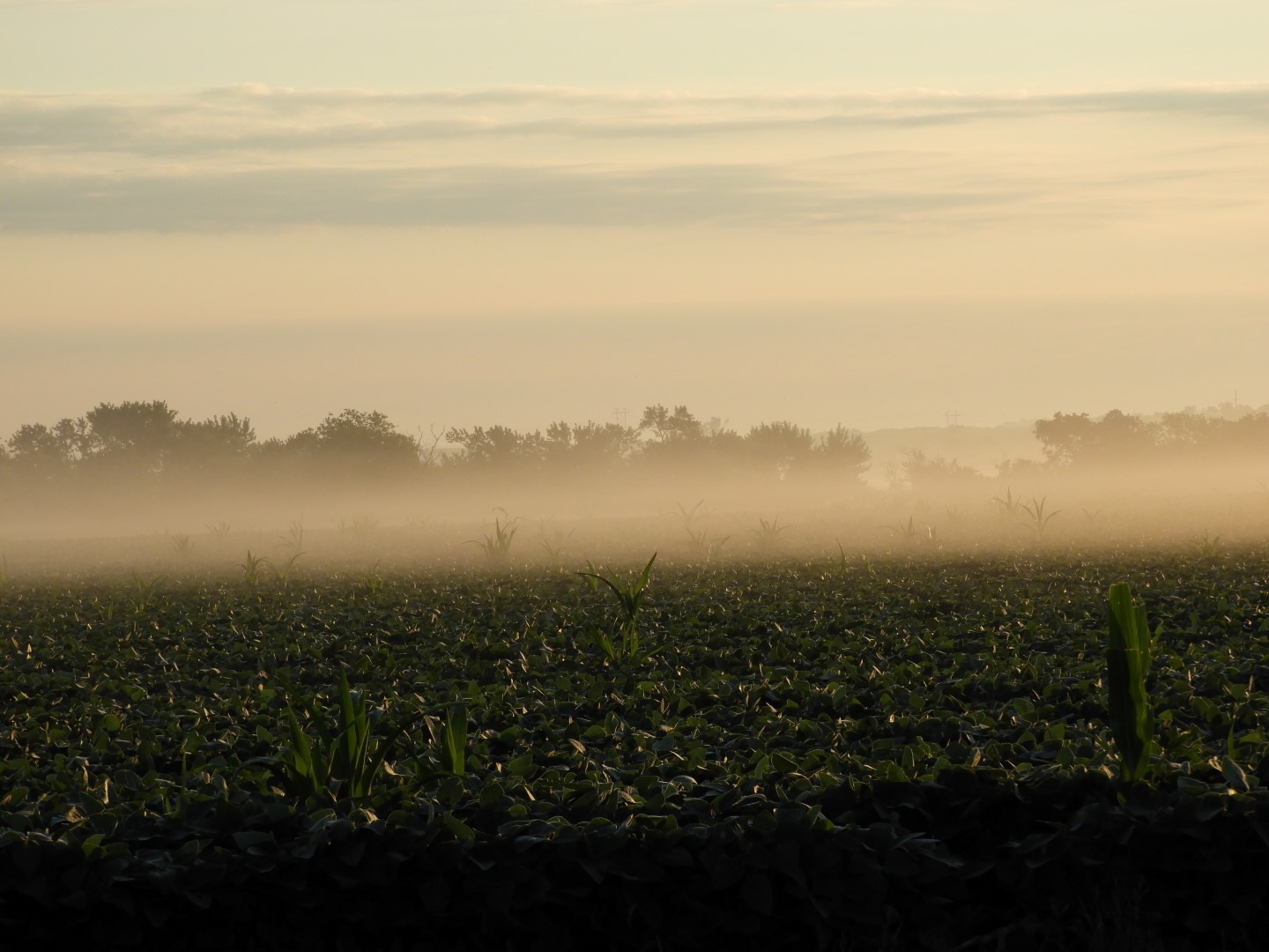 Area around Homestead National Memorial Park  2 of  3 (#0846)