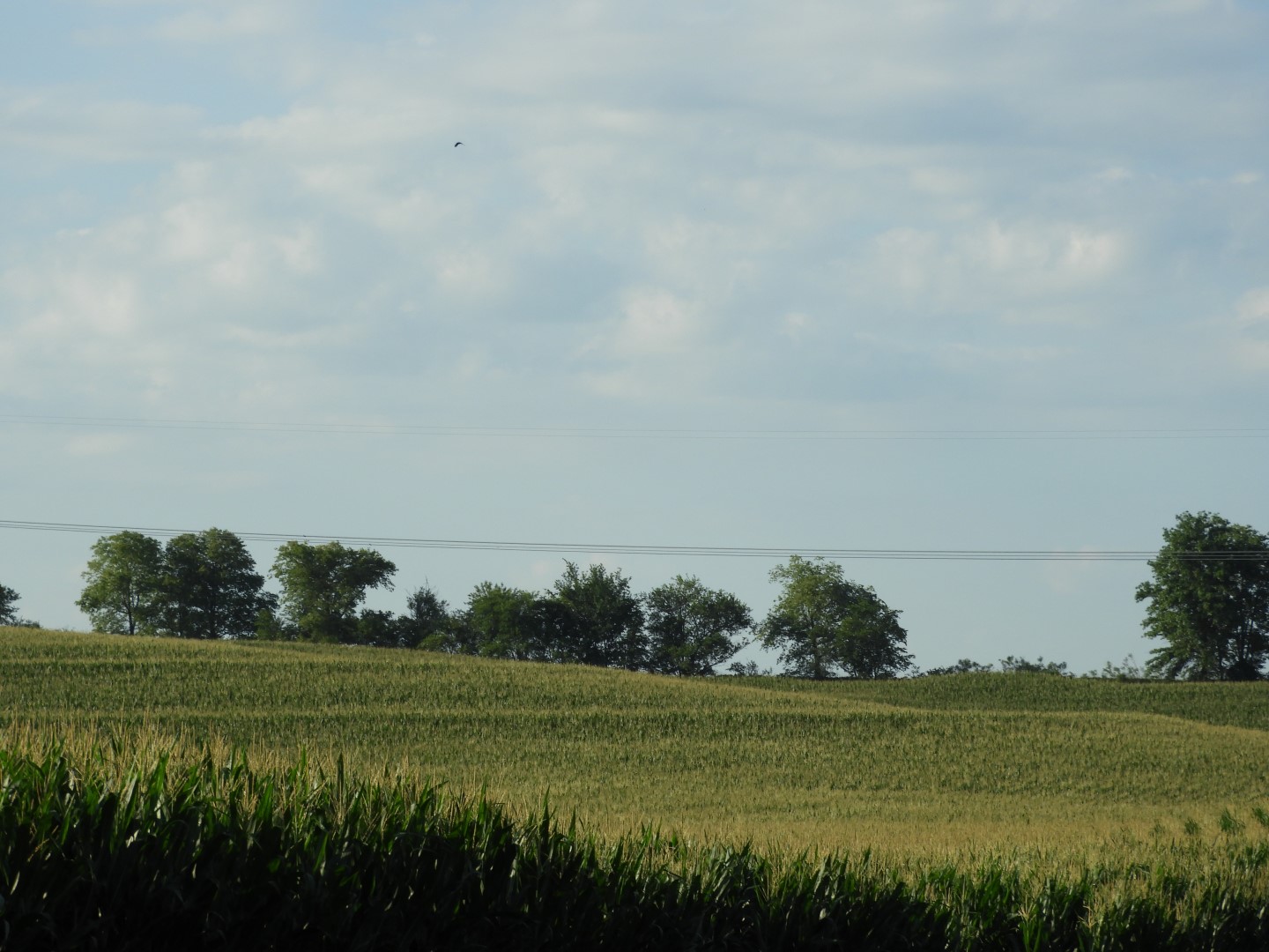 Area around Homestead National Memorial Park  3 of  3 (#0846)