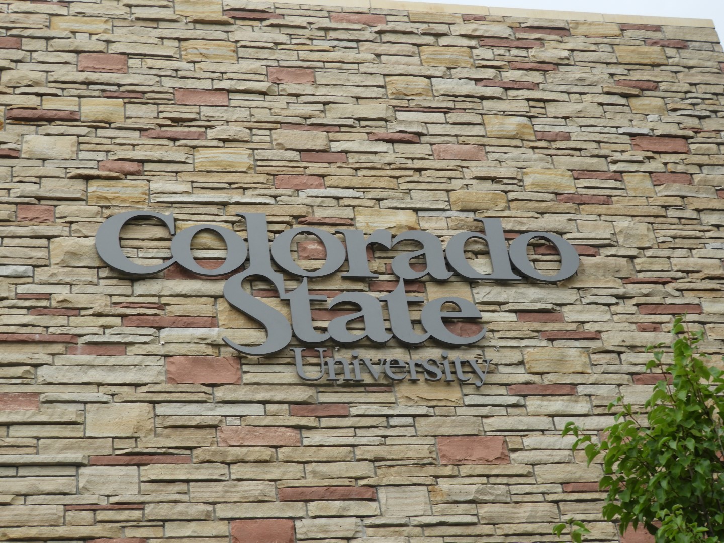 Colorado State University in Fort Collins CO  1 of  1 (#0907)