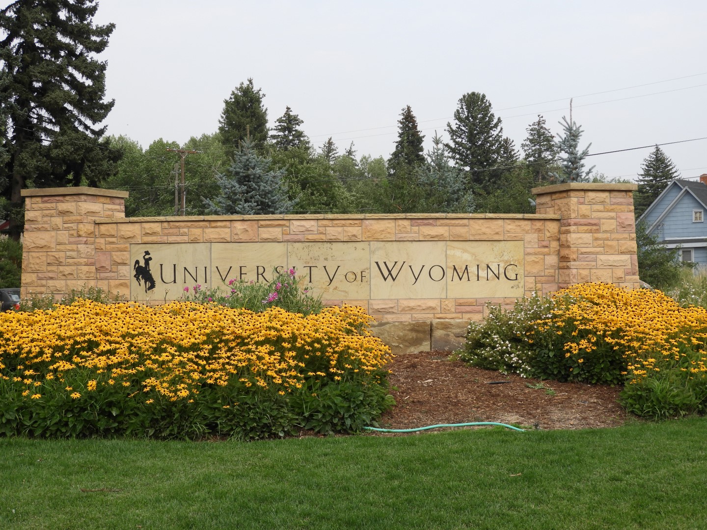 Wyoming University in Laramie WY  1 of  2 (#0908)