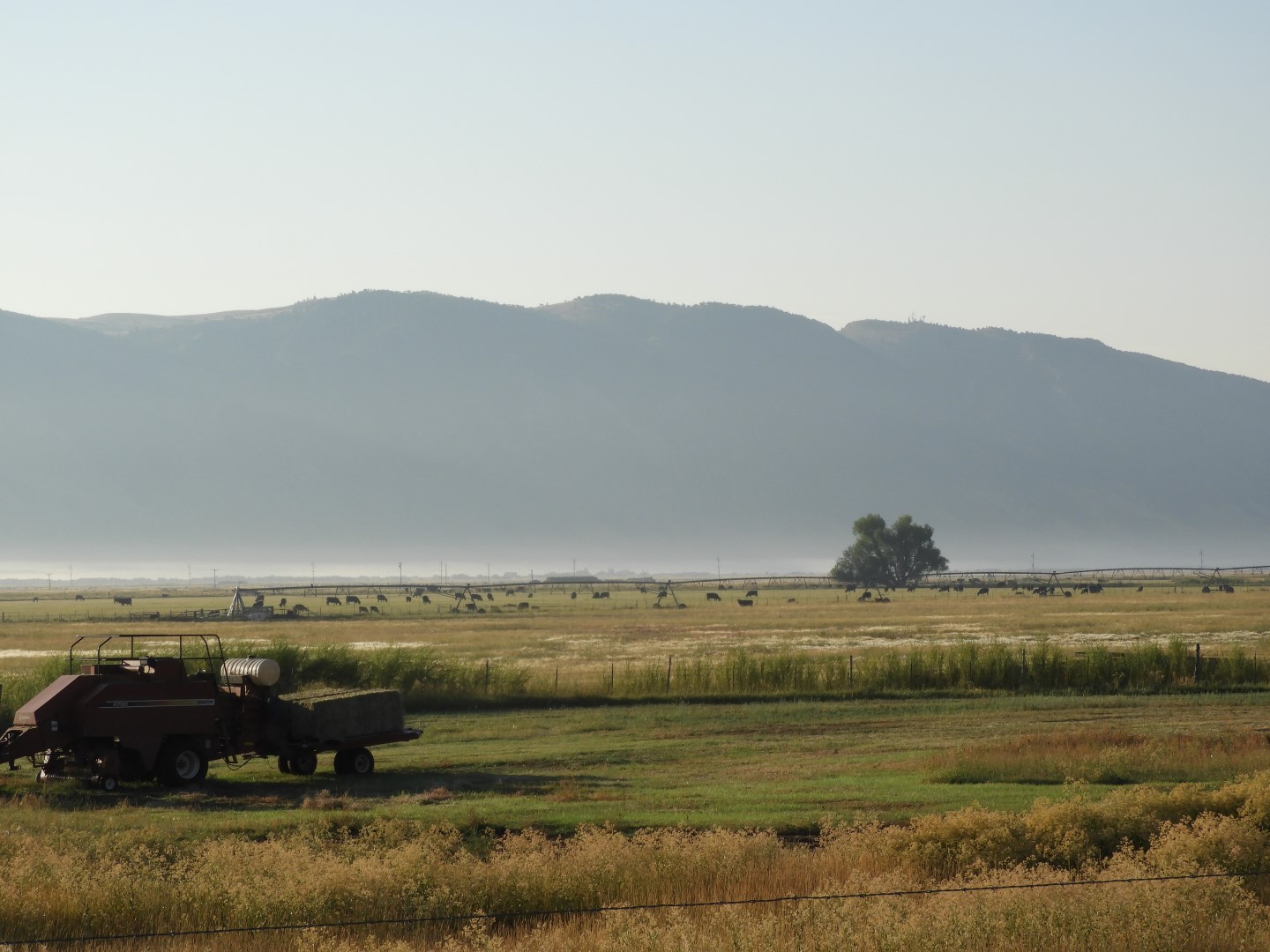 Near Randolph WY  3 of  3 (#0912)