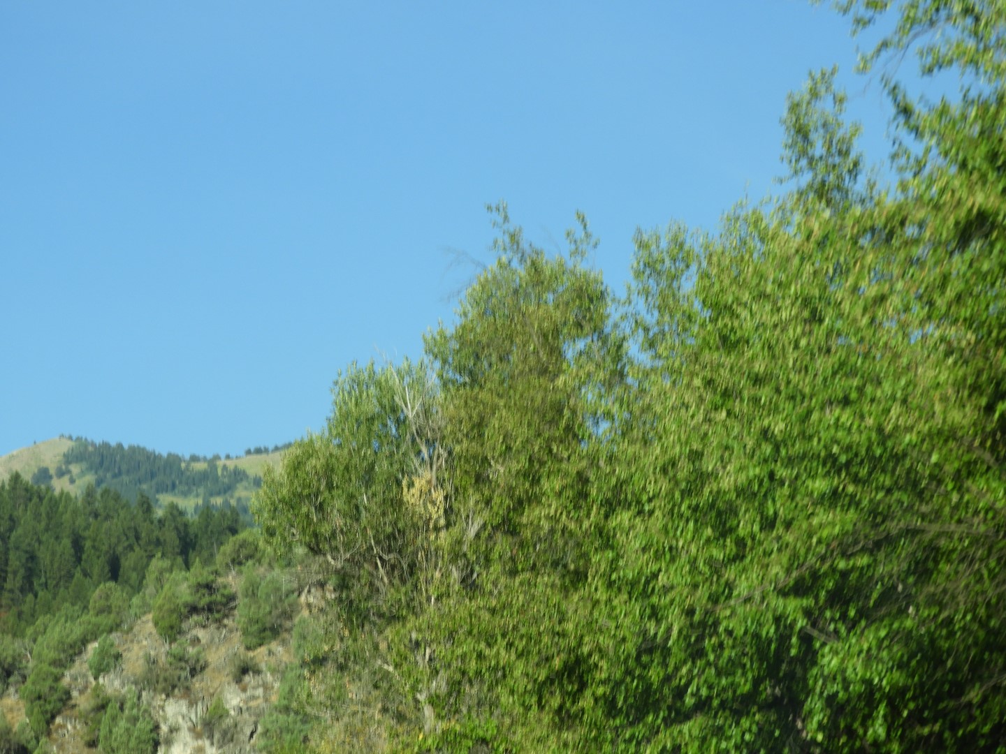 Along highway 30 leading west into Logan UT  1 of  6 (#0920)