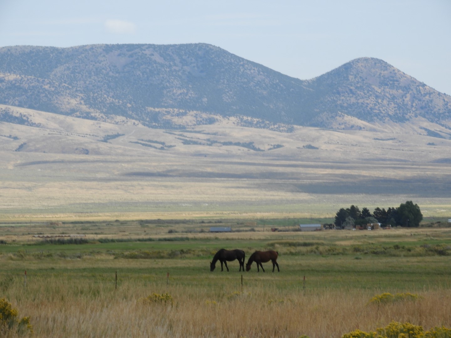 Visitor Center and area at City of Rocks National Park Facility southeast Idaho  5 of  6 (#0956)