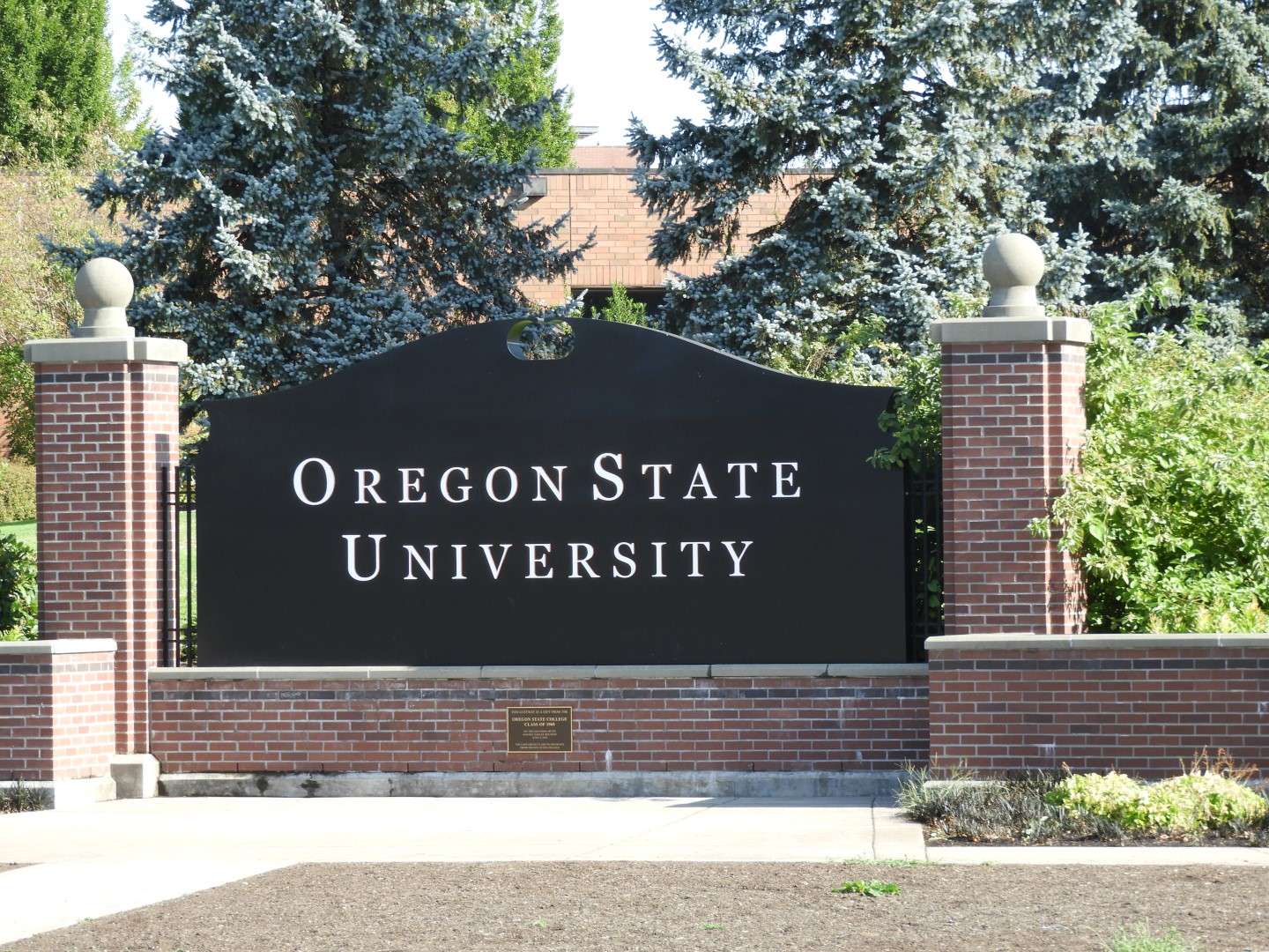 Oregon State University in Corvallis OR  1 of  3 (#1020)