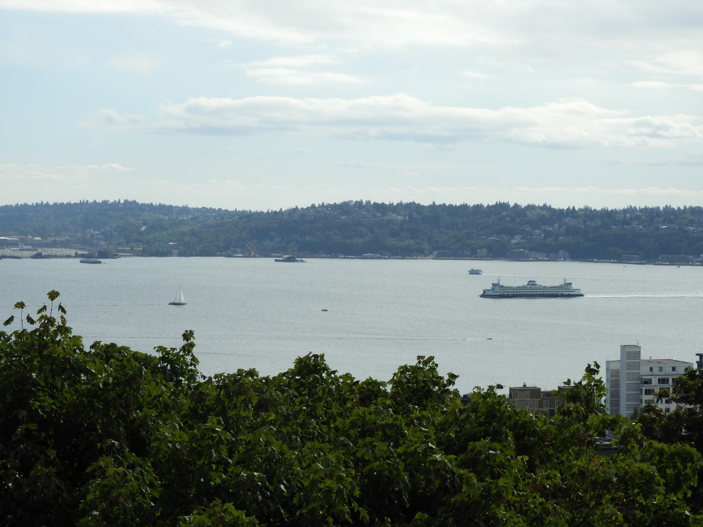 Views from Kerry Park in Seattle WA  5 of 27 (#1040)