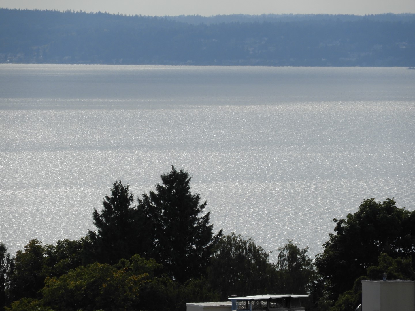 Views from Kerry Park in Seattle WA  9 of 27 (#1044)