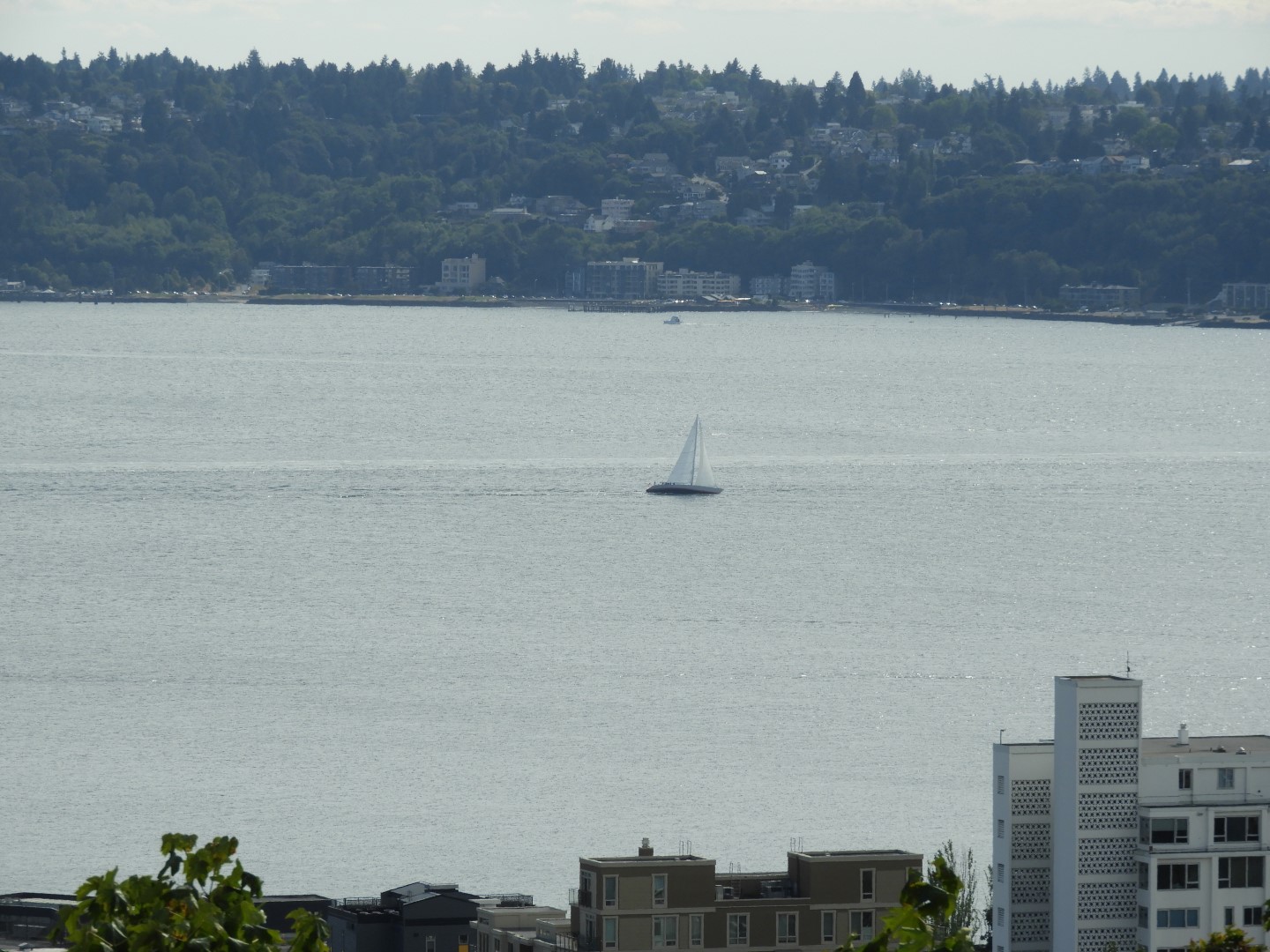 Views from Kerry Park in Seattle WA 11 of 27 (#1046)