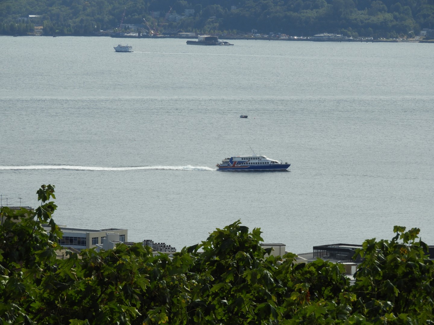 Views from Kerry Park in Seattle WA 15 of 27 (#1050)