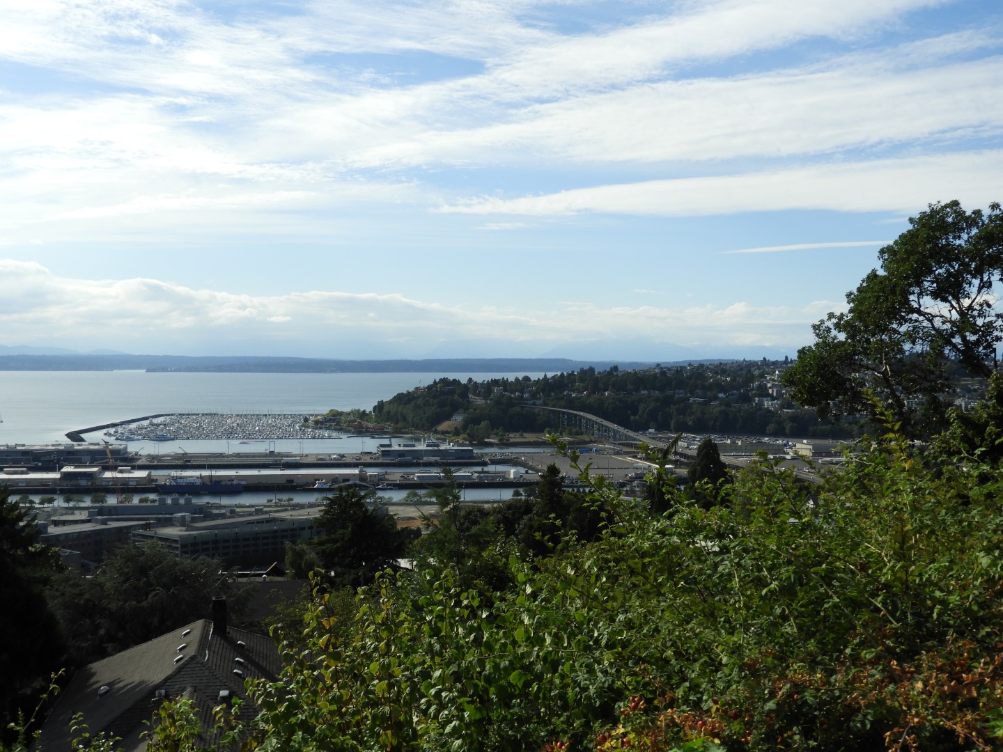 Views from Betty Outlook Park in Seattle WA  1 of 10 (#1066)