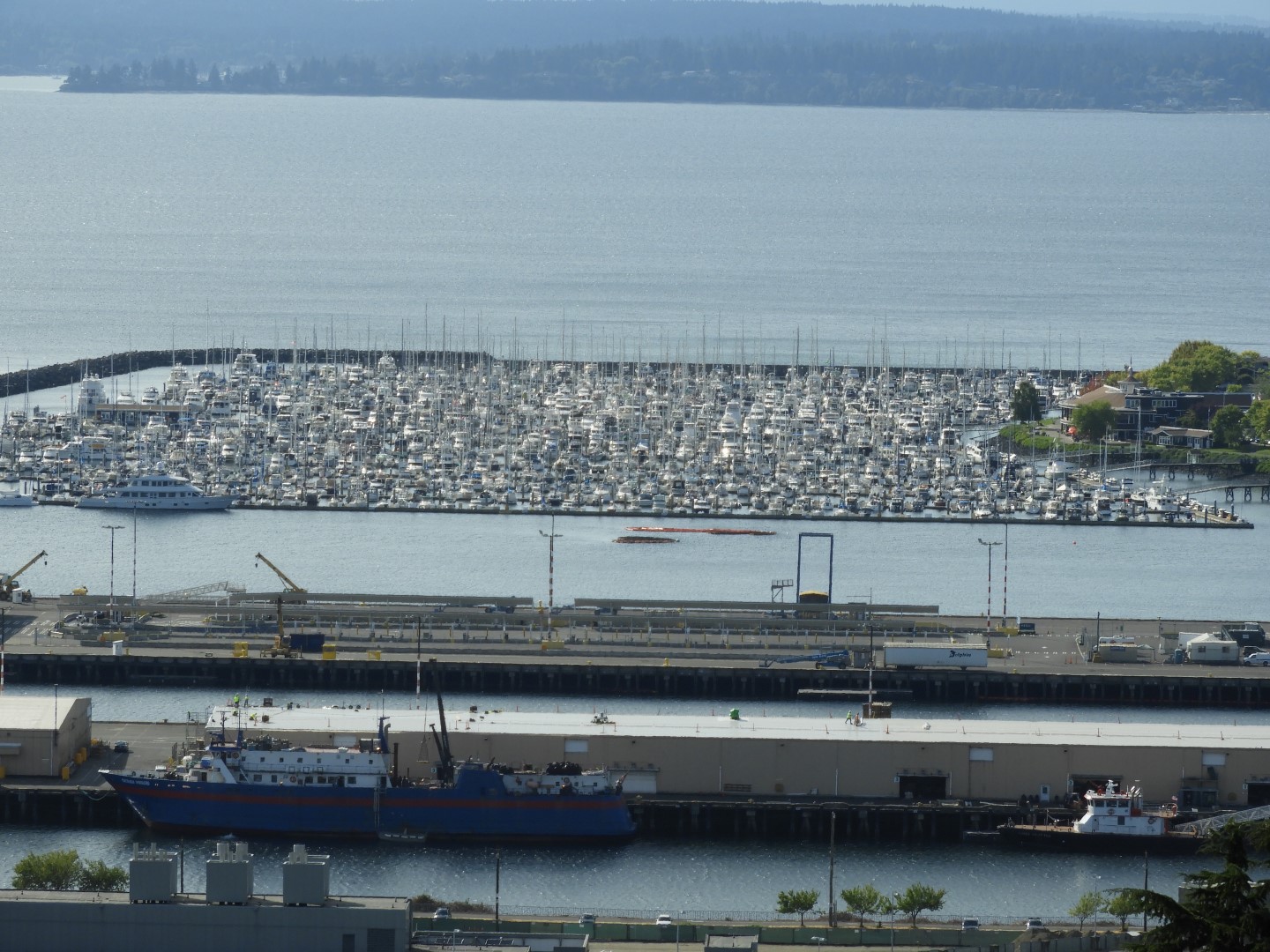 Views from Betty Outlook Park in Seattle WA  3 of 10 (#1068)