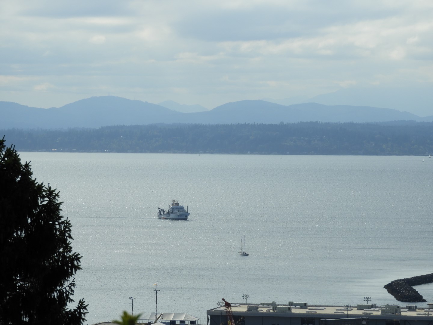 Views from Betty Outlook Park in Seattle WA  4 of 10 (#1069)