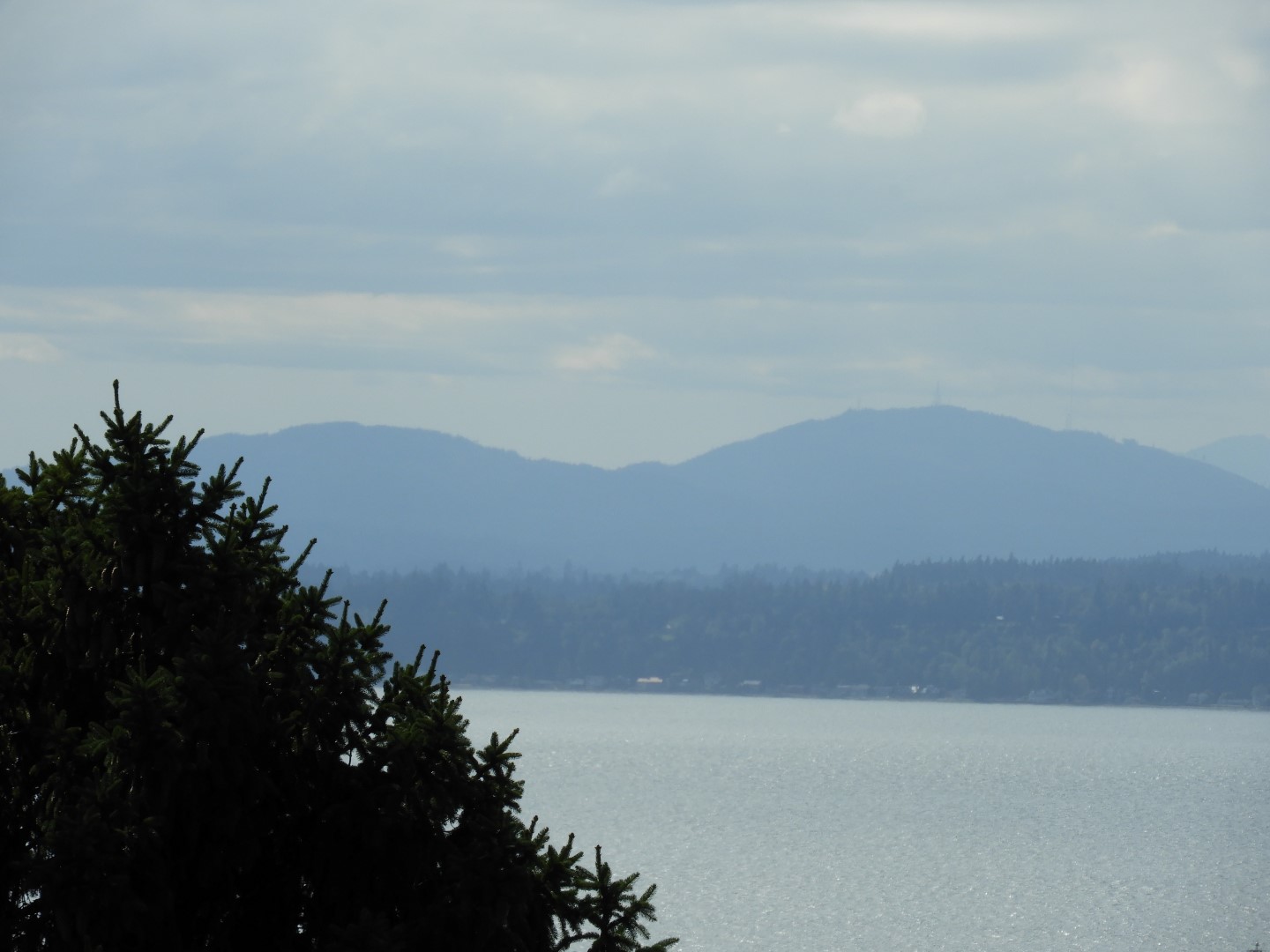 Views from Betty Outlook Park in Seattle WA  5 of 10 (#1070)