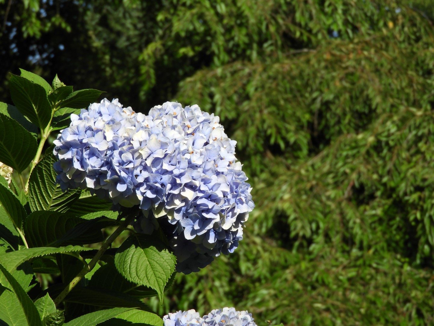 Views from Betty Outlook Park in Seattle WA  7 of 10 (#1072)