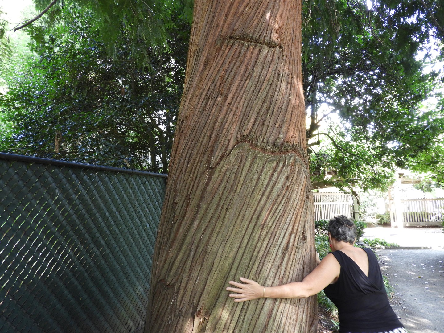 Views from Betty Outlook Park in Seattle WA  9 of 10 (#1074)