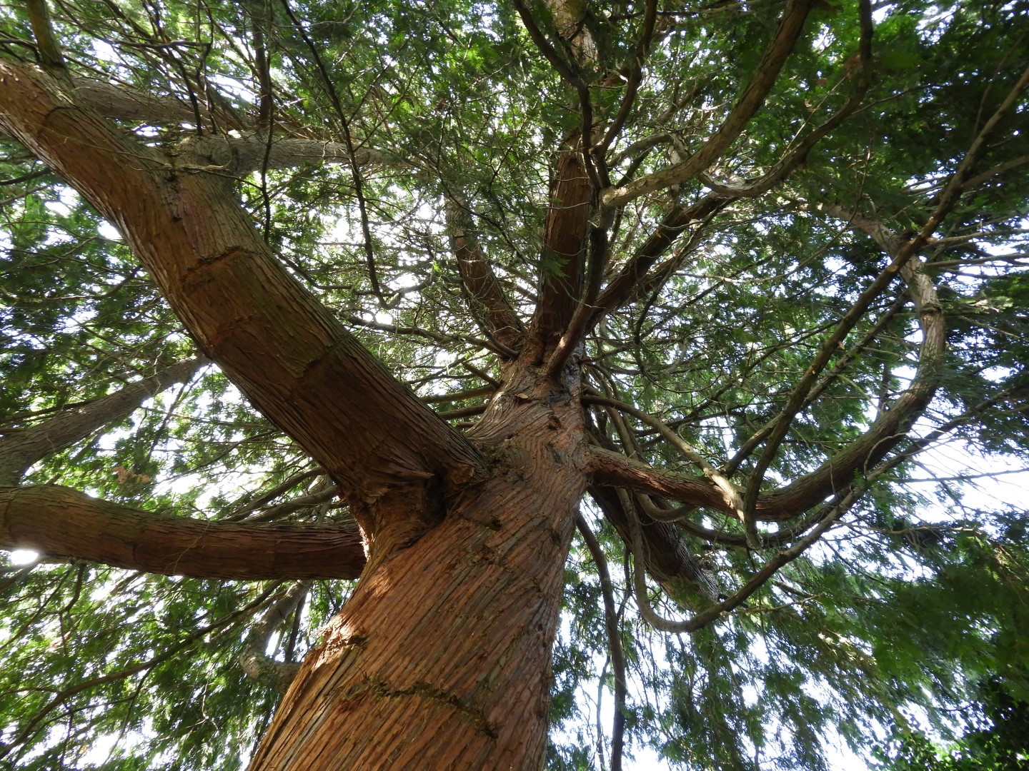 Views from Betty Outlook Park in Seattle WA 10 of 10 (#1075)