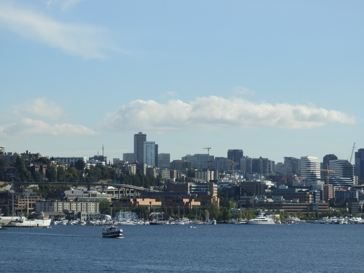 Views from Gas Works Park in Seattle WA  3 of 19 (#1080)