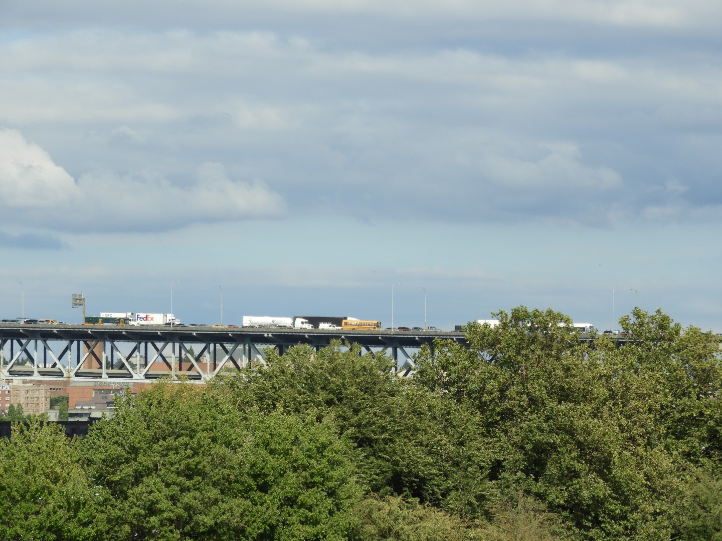 Views from Gas Works Park in Seattle WA  5 of 19 (#1082)