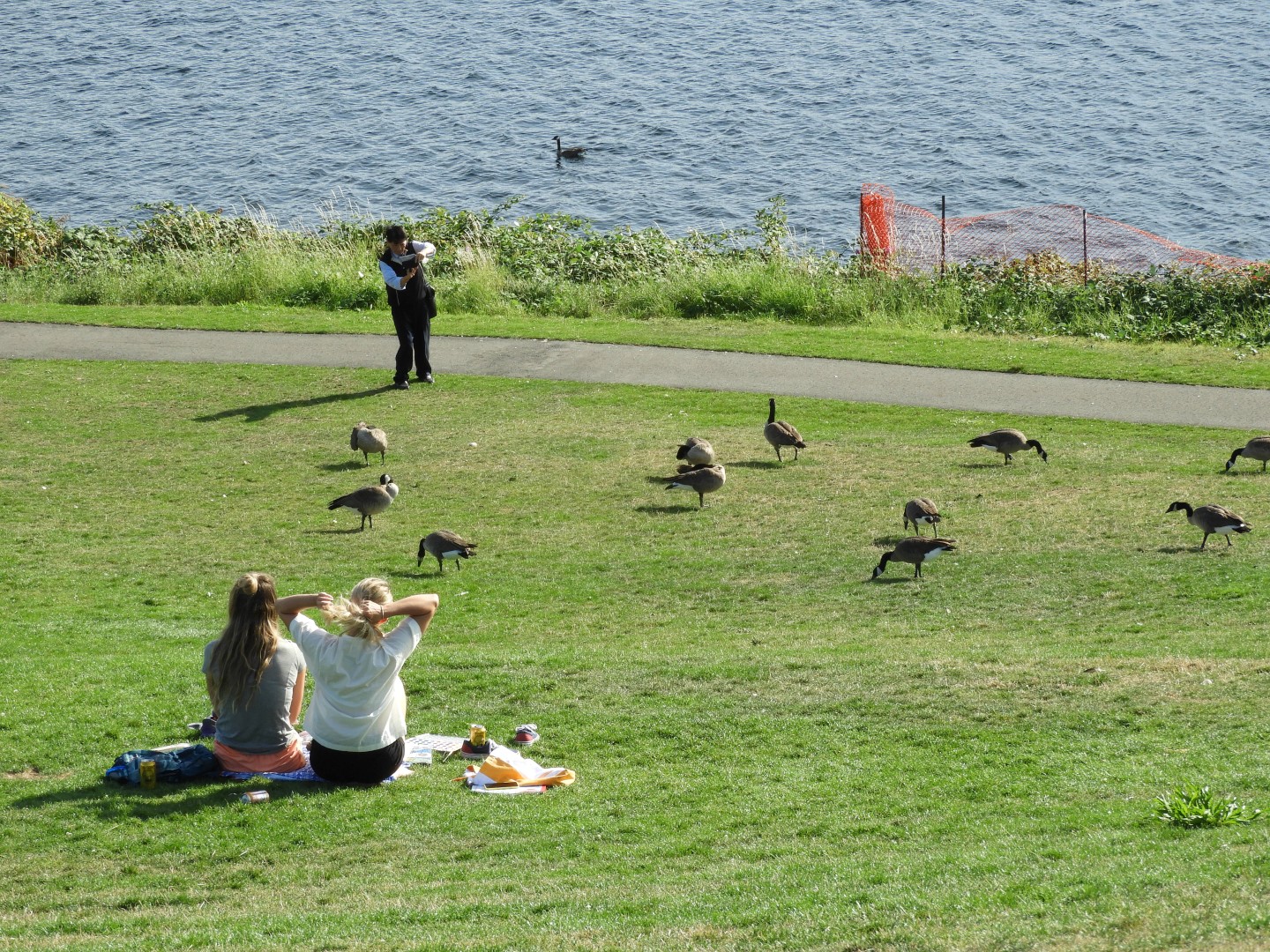 Views from Gas Works Park in Seattle WA  7 of 19 (#1084)