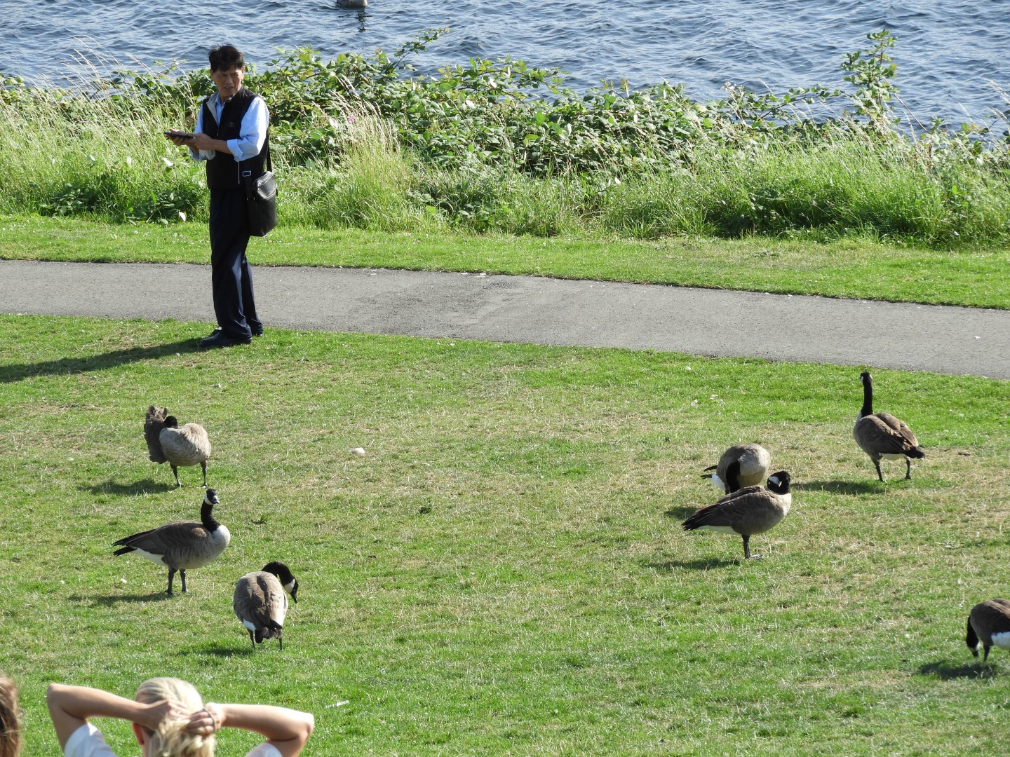 Views from Gas Works Park in Seattle WA  8 of 19 (#1085)