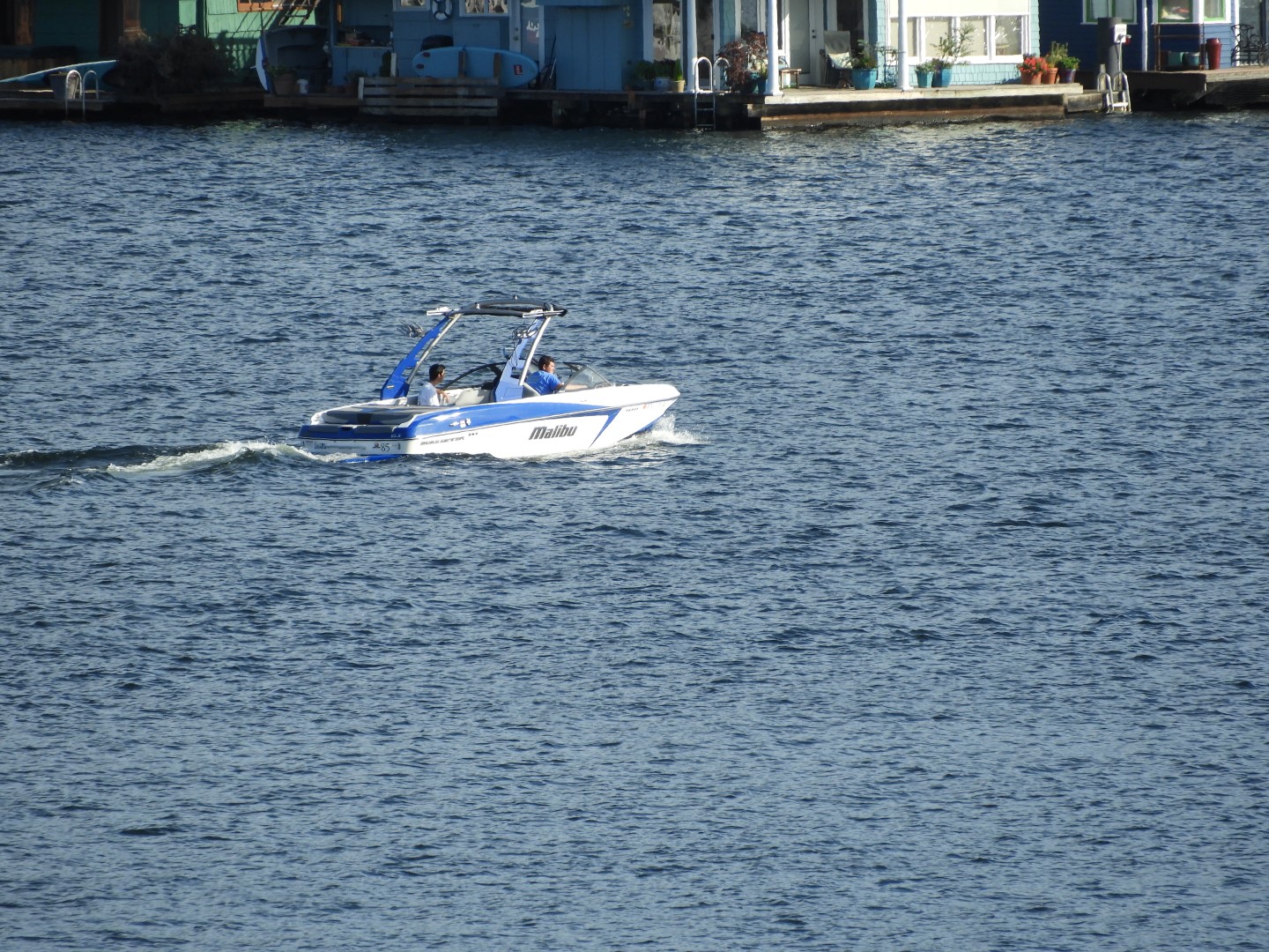 Views from Gas Works Park in Seattle WA  9 of 19 (#1086)