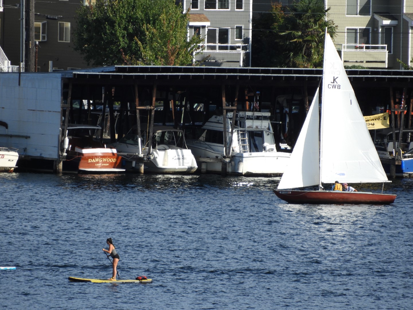 Views from Gas Works Park in Seattle WA 11 of 19 (#1088)