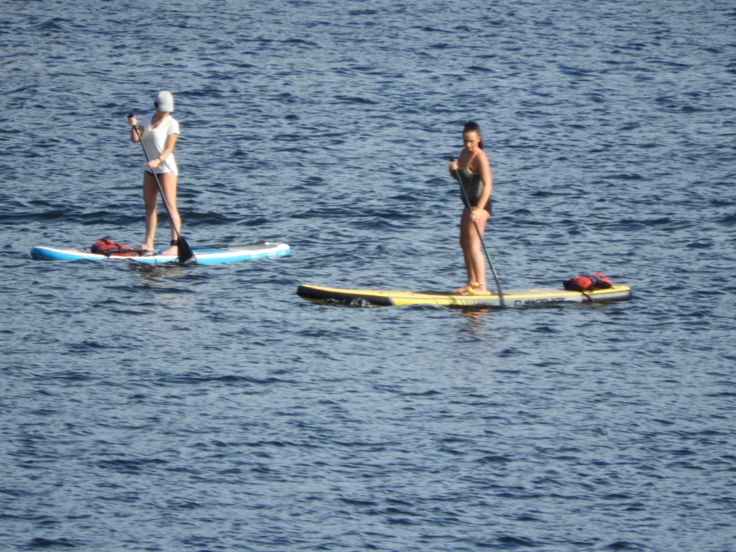 Views from Gas Works Park in Seattle WA 12 of 19 (#1089)