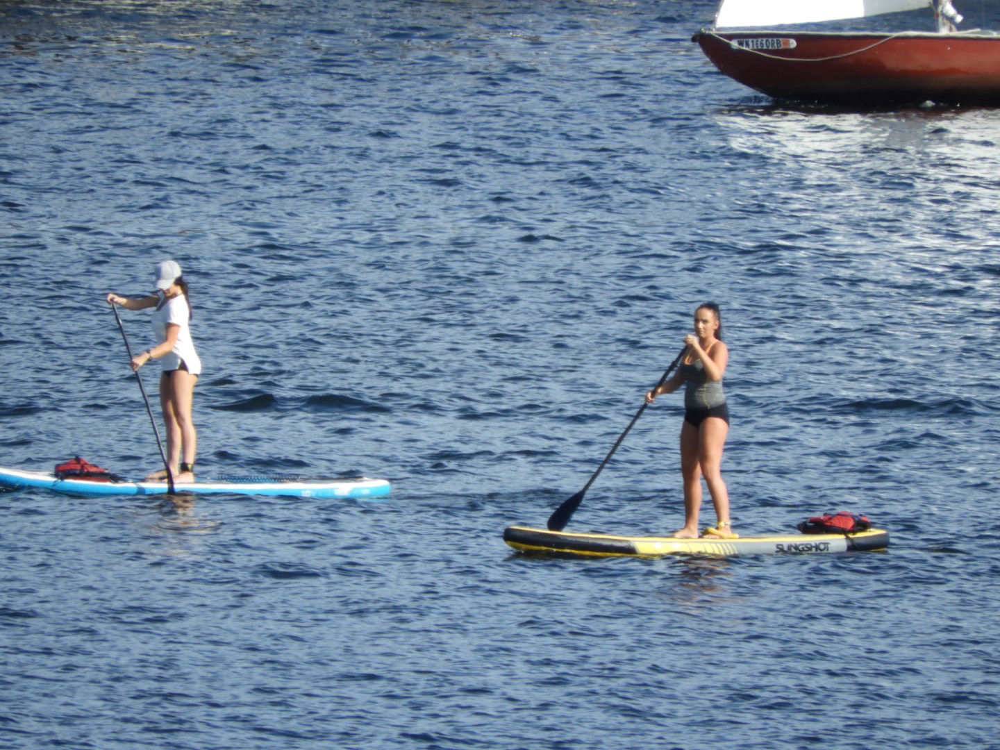 Views from Gas Works Park in Seattle WA 13 of 19 (#1090)