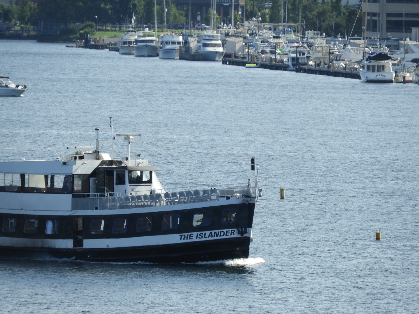 Views from Gas Works Park in Seattle WA 14 of 19 (#1091)