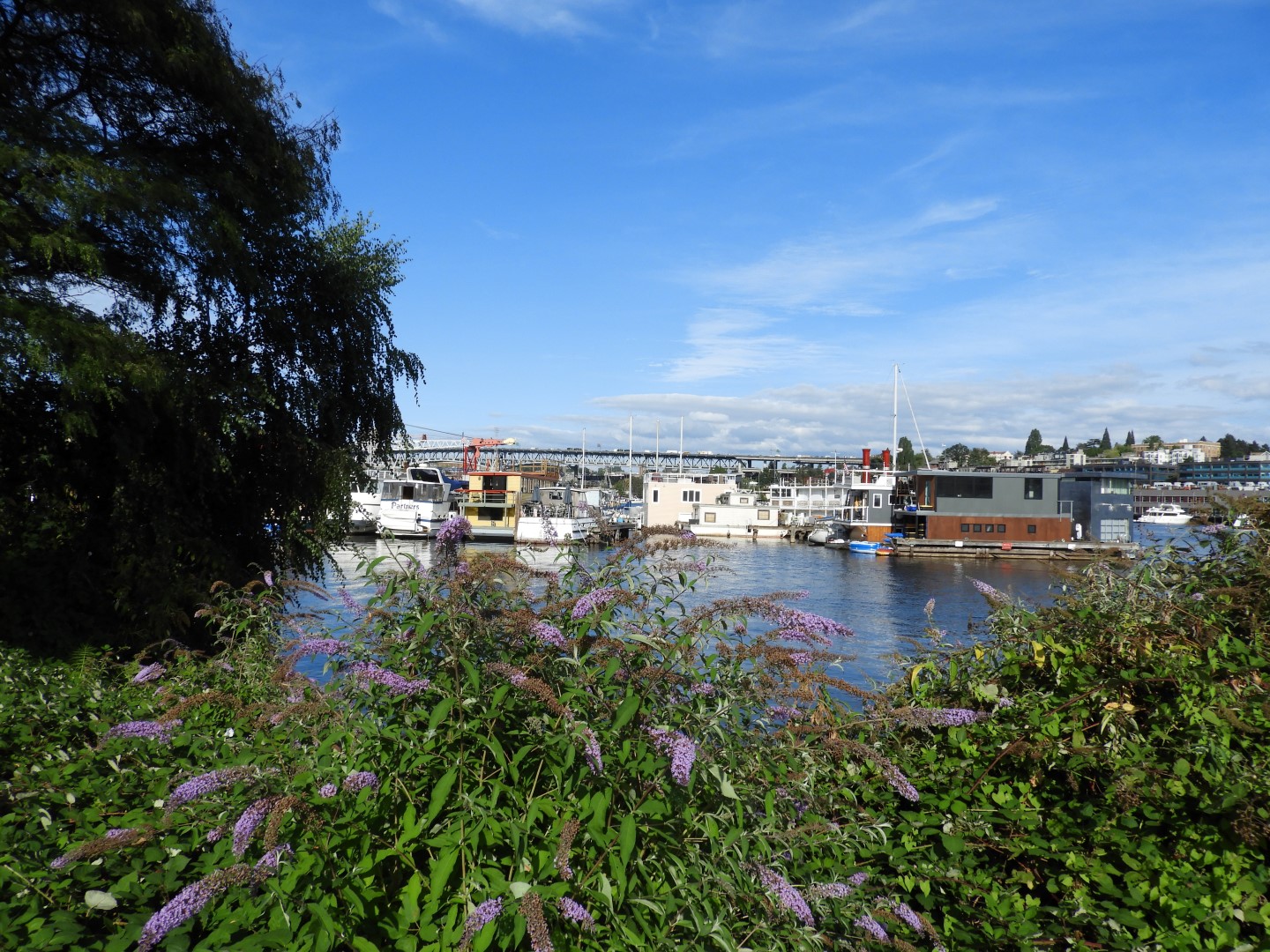 Views from Gas Works Park in Seattle WA 19 of 19 (#1096)