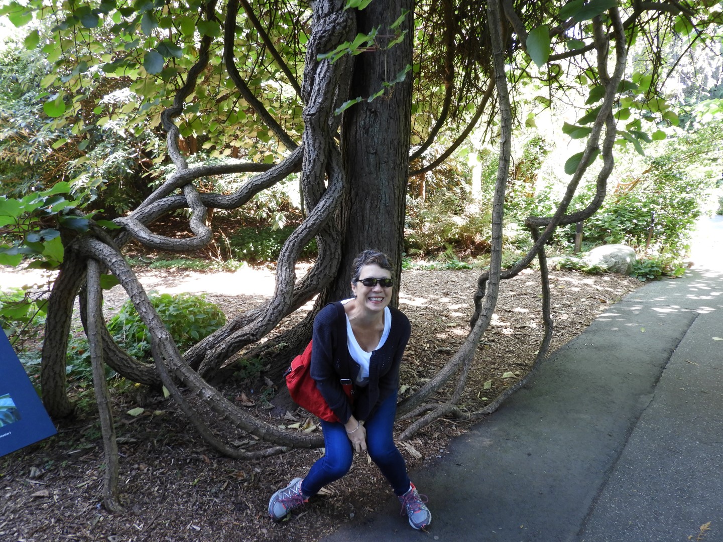 Univ. of British Columbia Botanical Garden and adjacent scenery in Vancouver in British Columbia, Canada  5 of 59 (#1101)