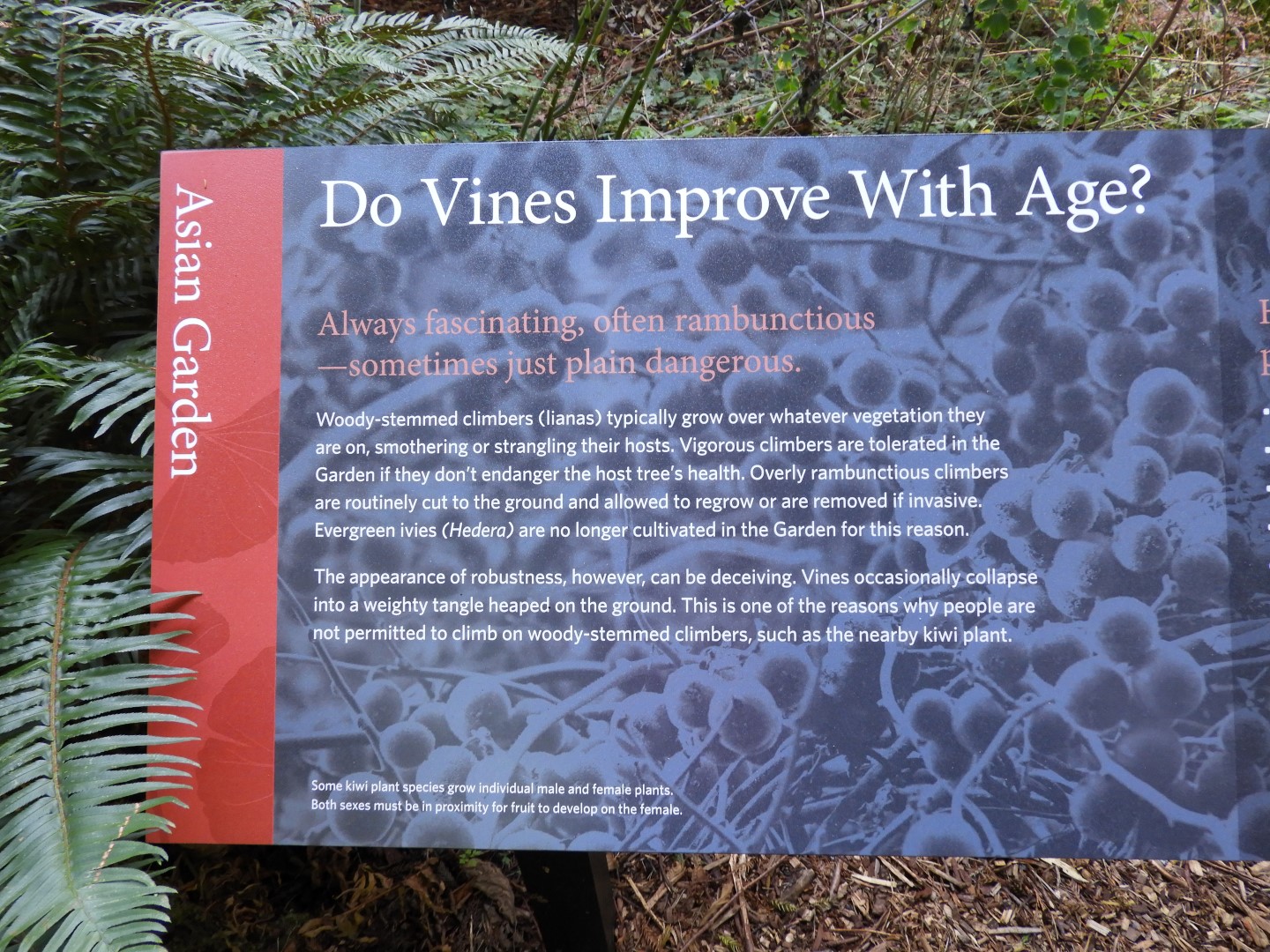 Univ. of British Columbia Botanical Garden and adjacent scenery in Vancouver in British Columbia, Canada  6 of 59 (#1102)