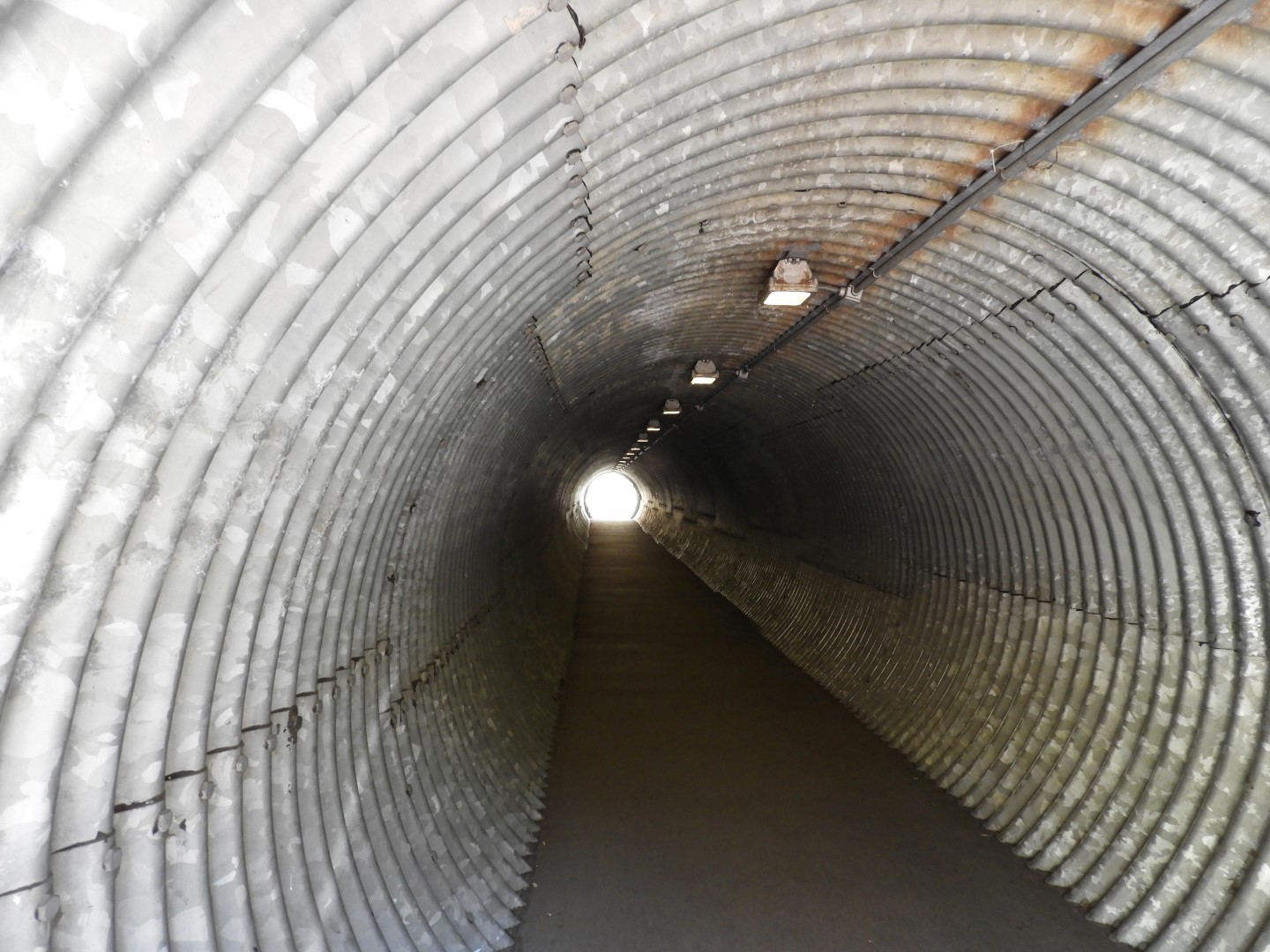 Univ. of British Columbia Botanical Garden and adjacent scenery in Vancouver in British Columbia, Canada  8 of 59 (#1104)