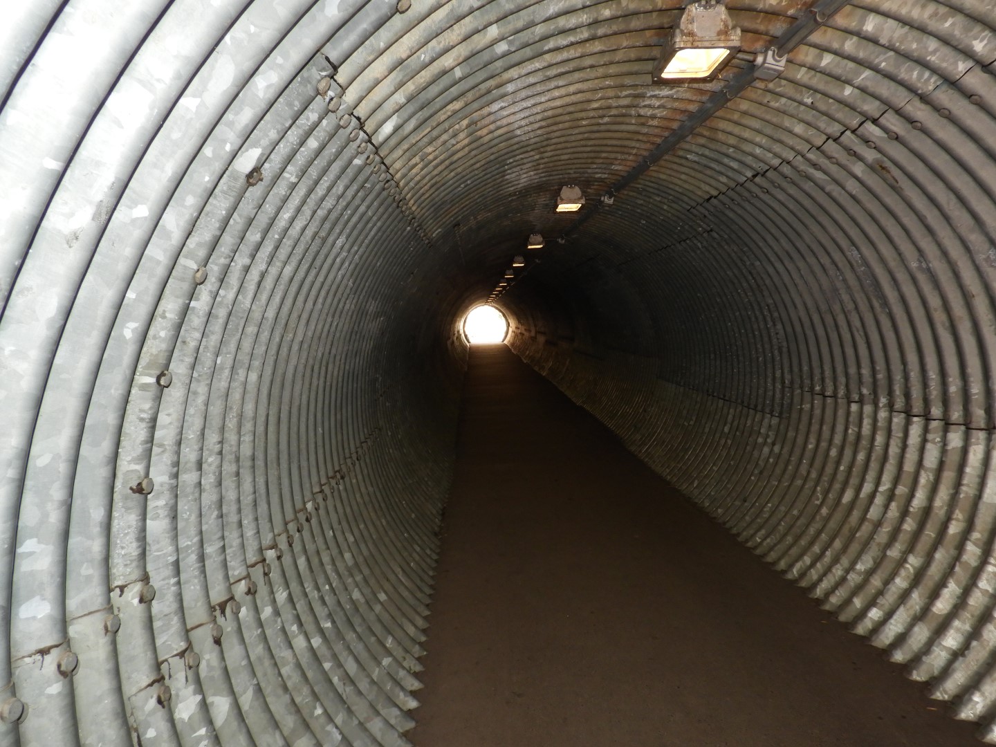 Univ. of British Columbia Botanical Garden and adjacent scenery in Vancouver in British Columbia, Canada  9 of 59 (#1105)