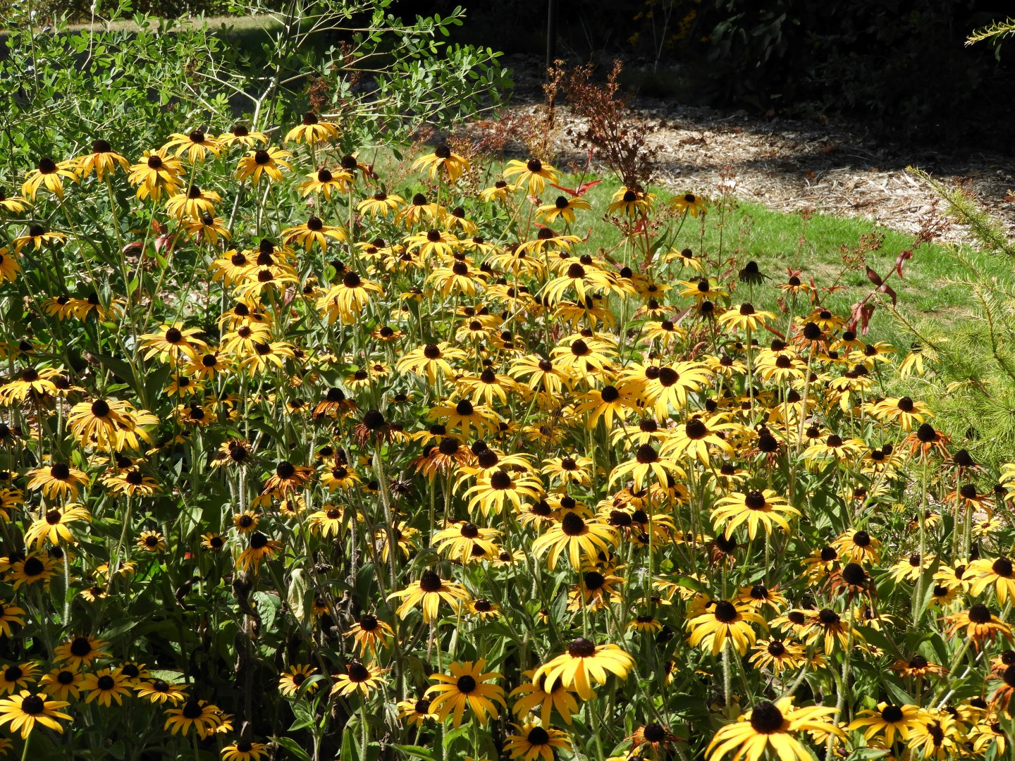 Univ. of British Columbia Botanical Garden and adjacent scenery in Vancouver in British Columbia, Canada 11 of 59 (#1107)