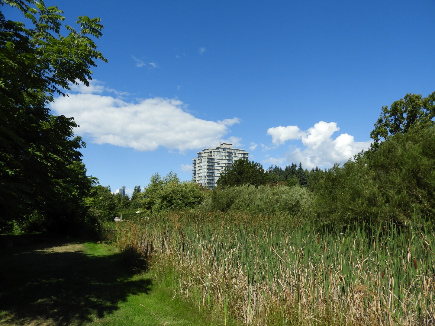 Univ. of British Columbia Botanical Garden and adjacent scenery in Vancouver in British Columbia, Canada 15 of 59 (#1111)