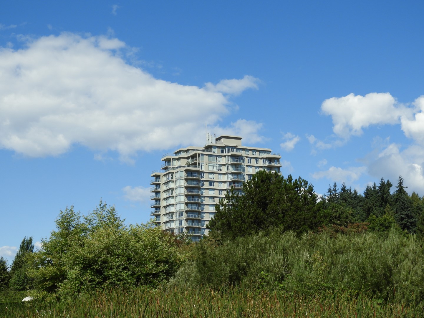 Univ. of British Columbia Botanical Garden and adjacent scenery in Vancouver in British Columbia, Canada 16 of 59 (#1112)