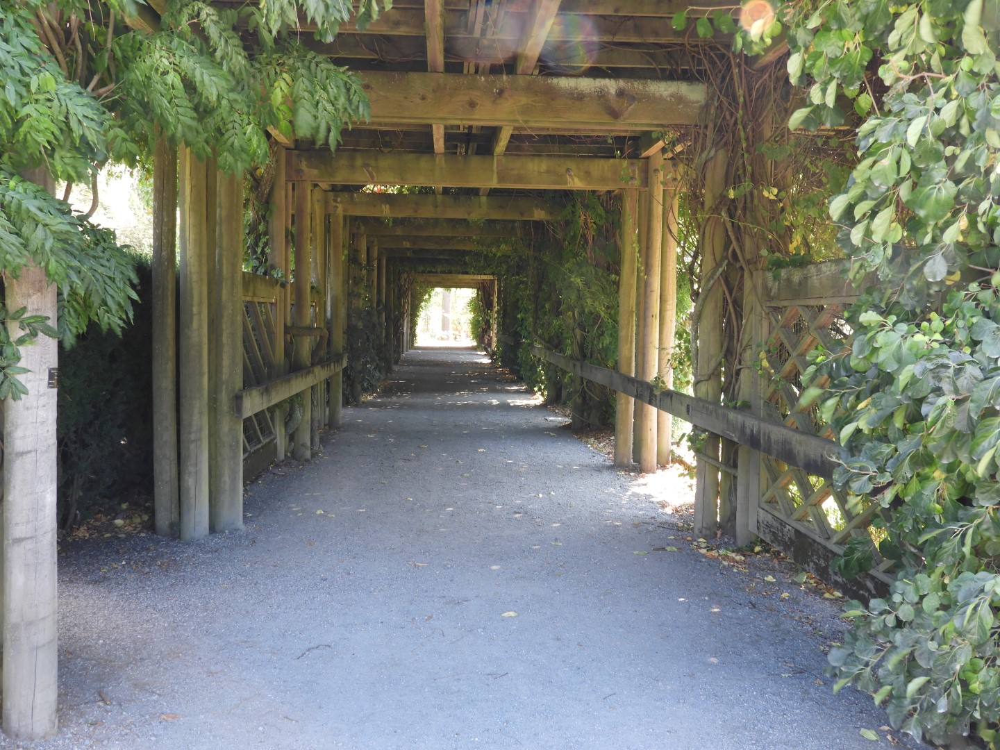 Univ. of British Columbia Botanical Garden and adjacent scenery in Vancouver in British Columbia, Canada 22 of 59 (#1118)