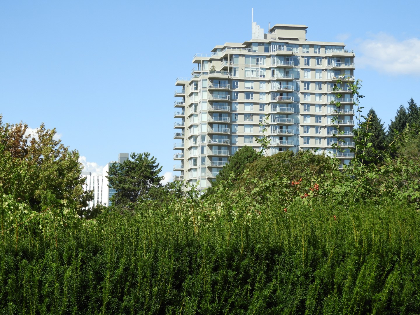 Univ. of British Columbia Botanical Garden and adjacent scenery in Vancouver in British Columbia, Canada 31 of 59 (#1128)