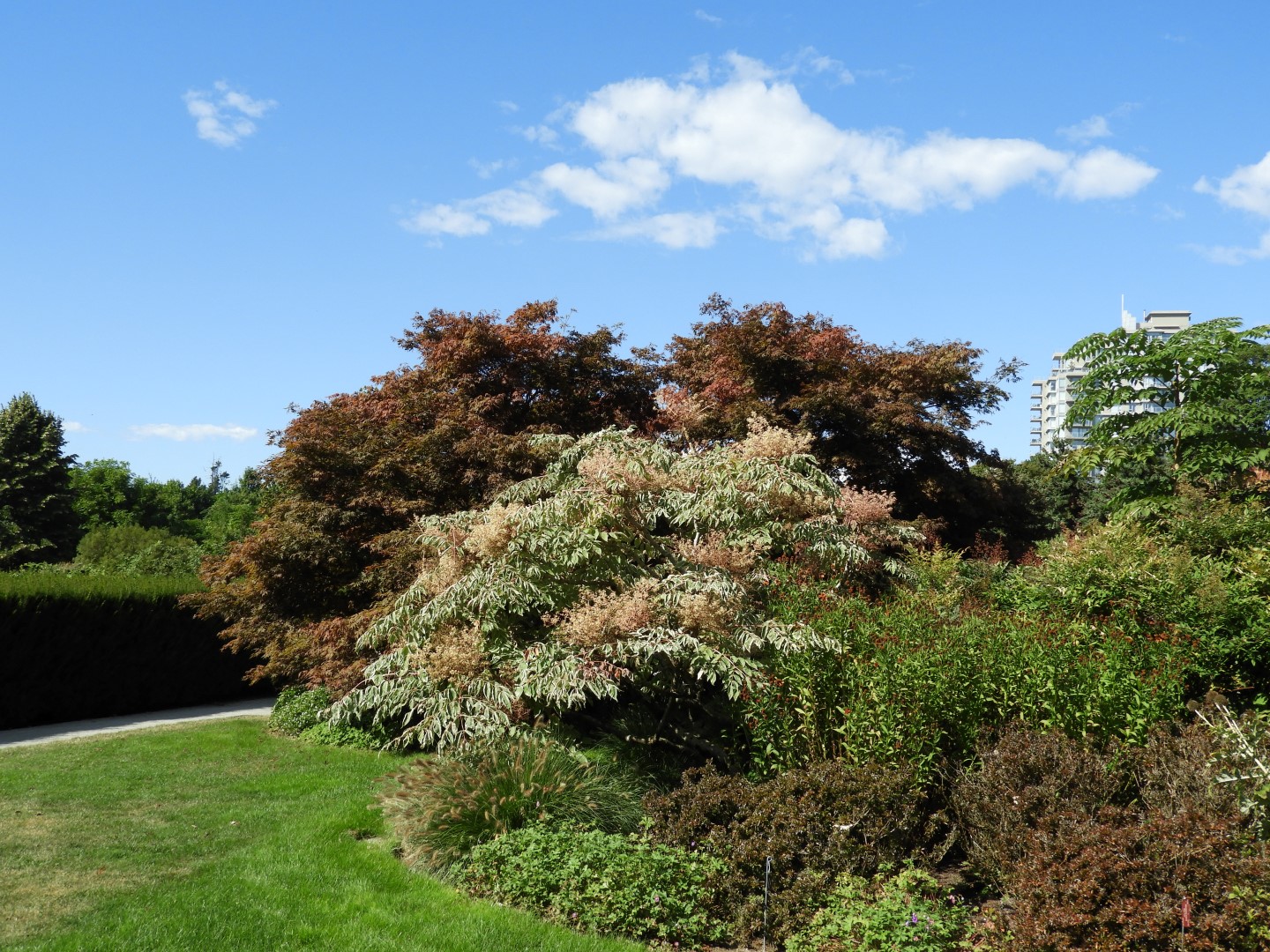 Univ. of British Columbia Botanical Garden and adjacent scenery in Vancouver in British Columbia, Canada 33 of 59 (#1130)